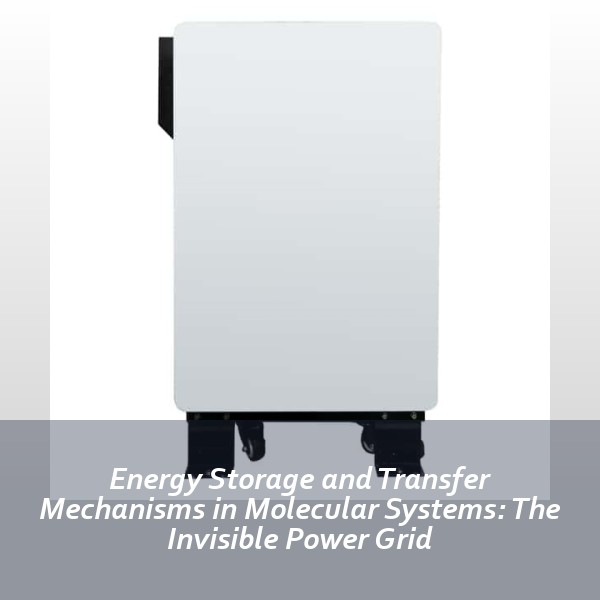 Energy Storage and Transfer Mechanisms in Molecular Systems: The Invisible Power Grid